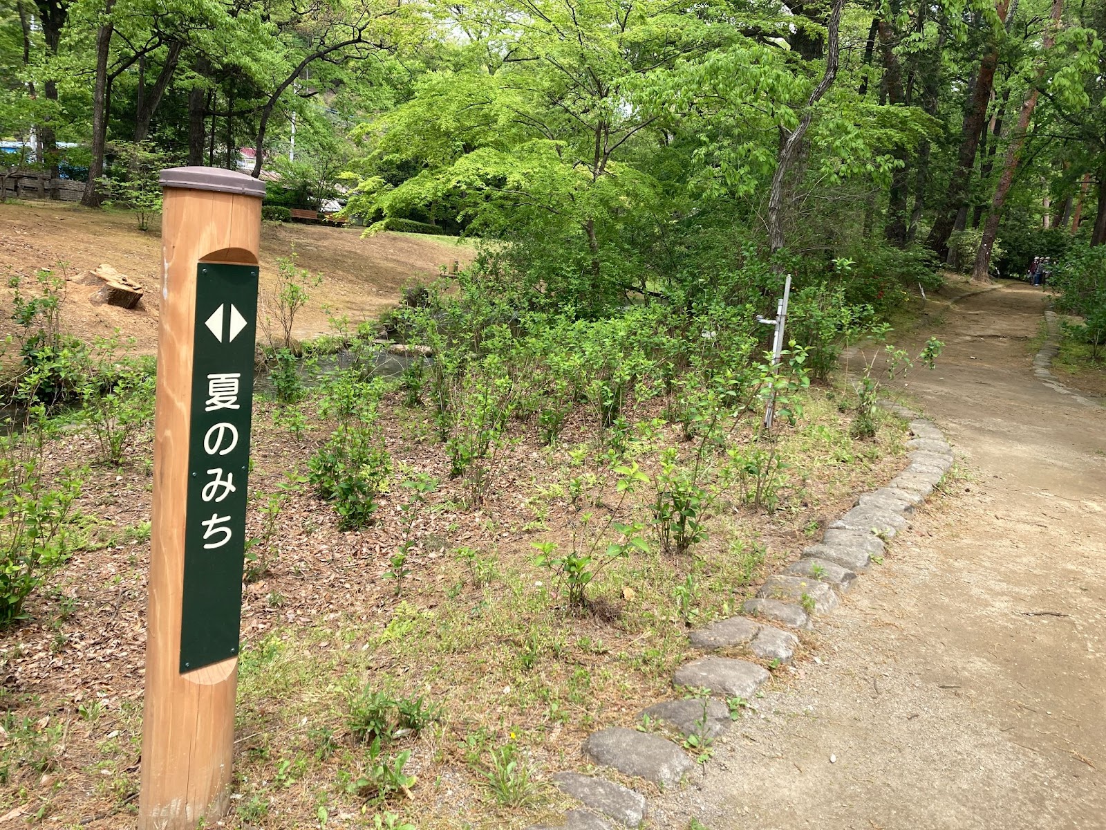 万力公園2