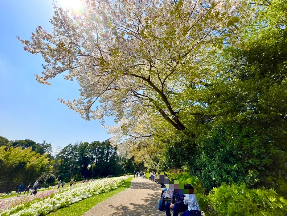 横浜観光穴場