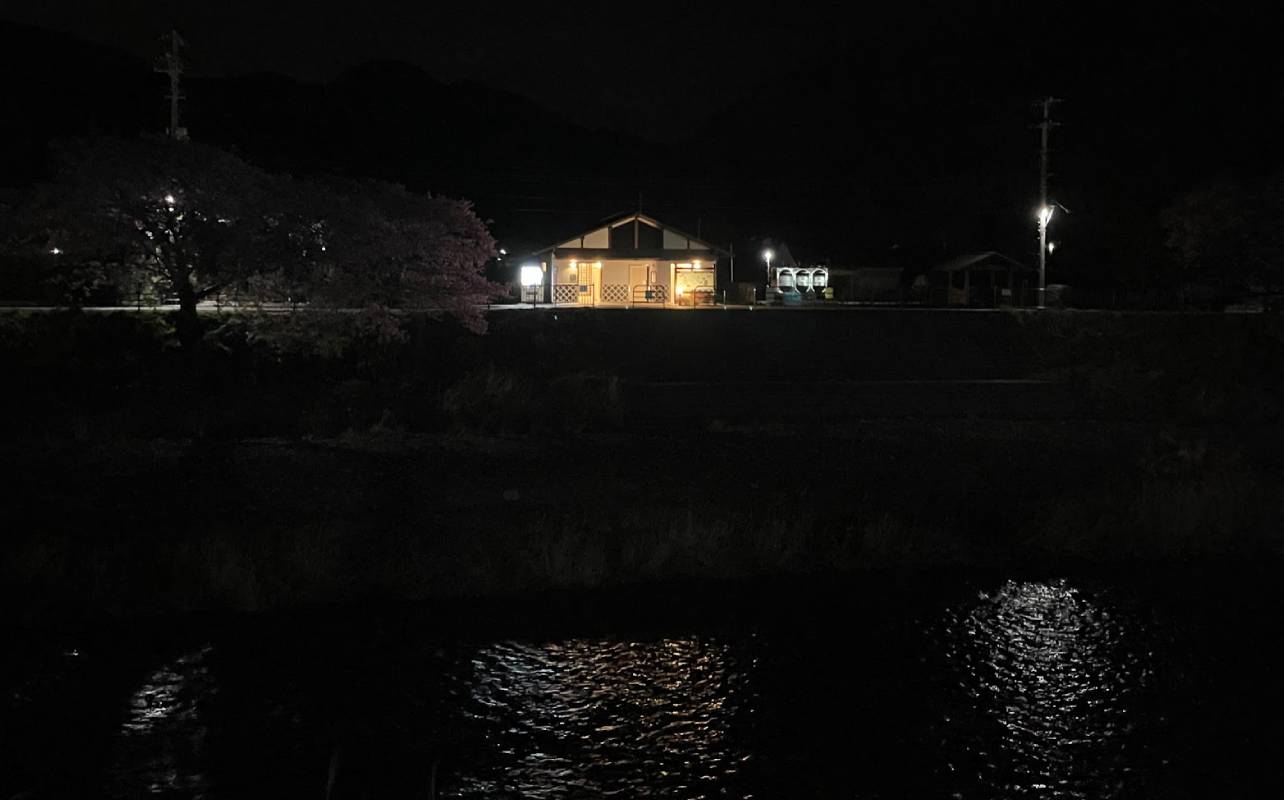 河津桜まつり夜