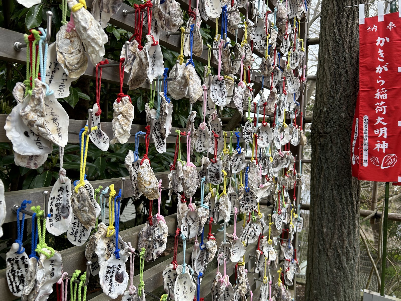 鎌倉・長谷寺3