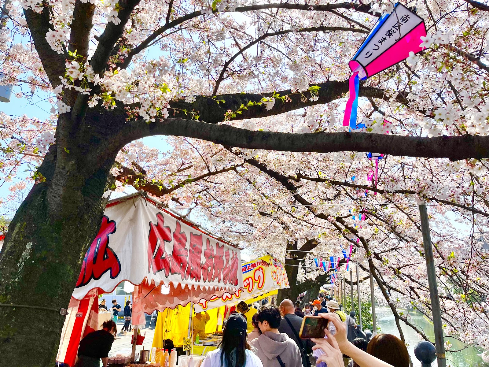 大岡川プロムナードおすすめ花見スポット