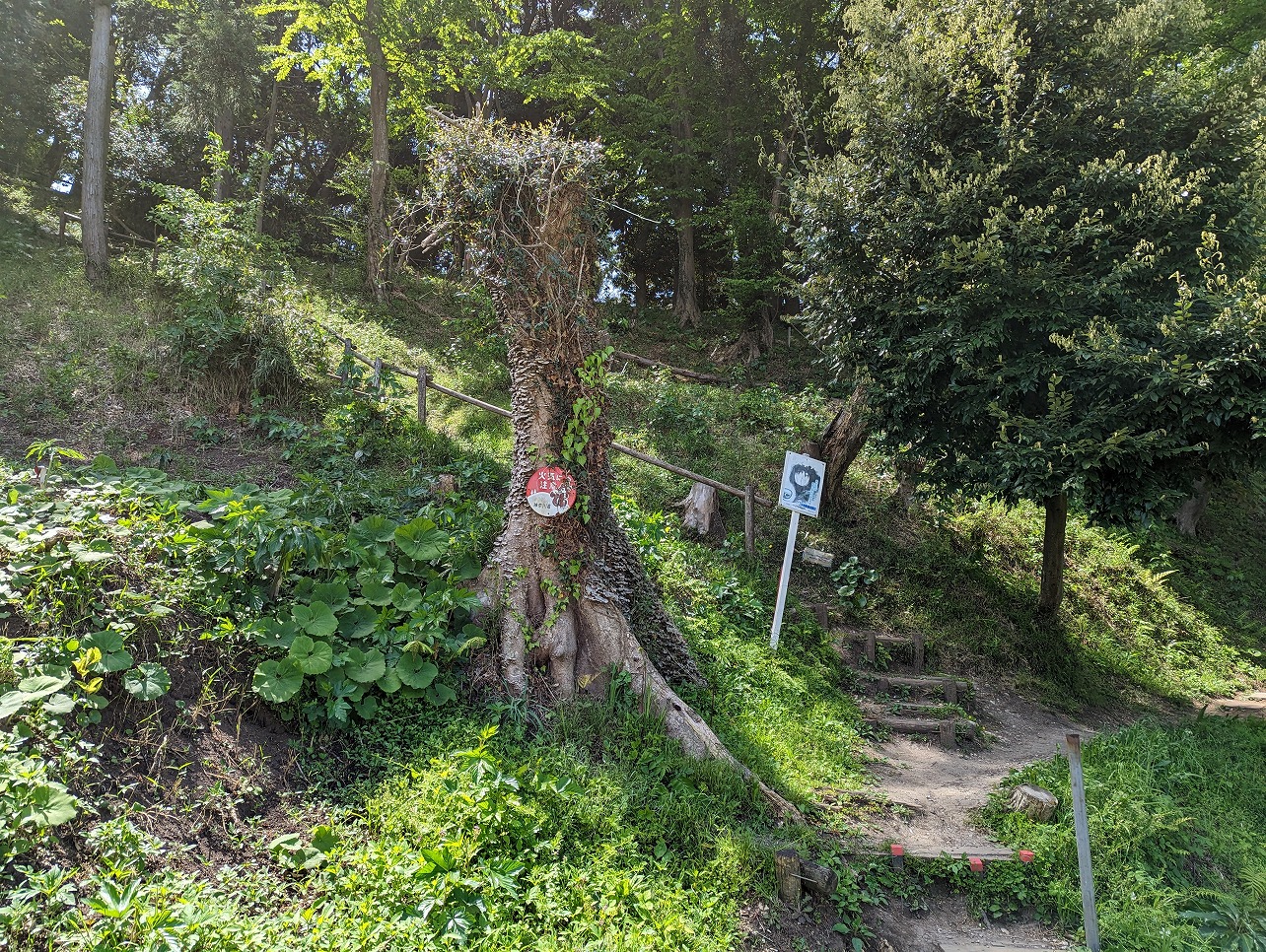 葉山ウォーキング