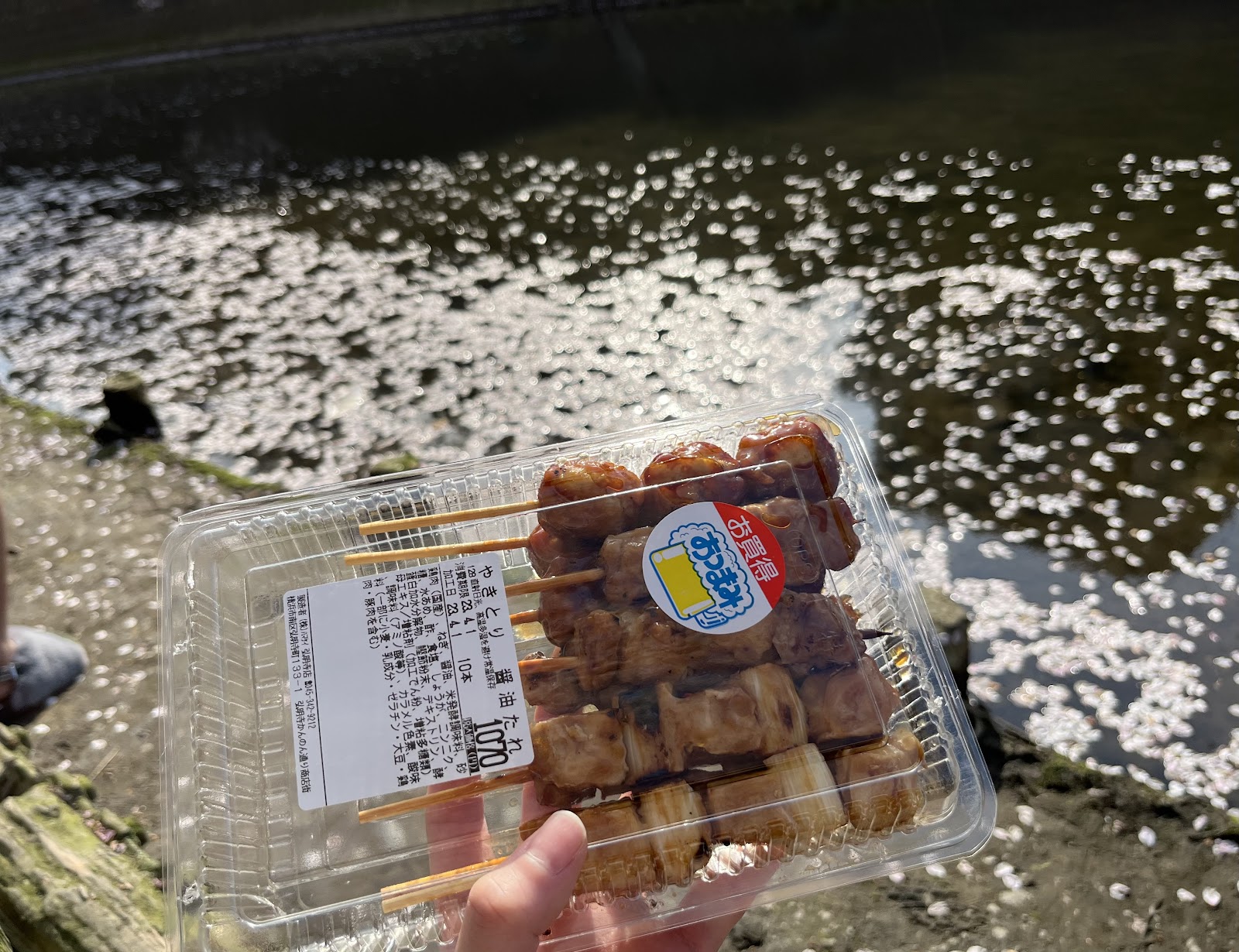 横浜穴場花見スポット