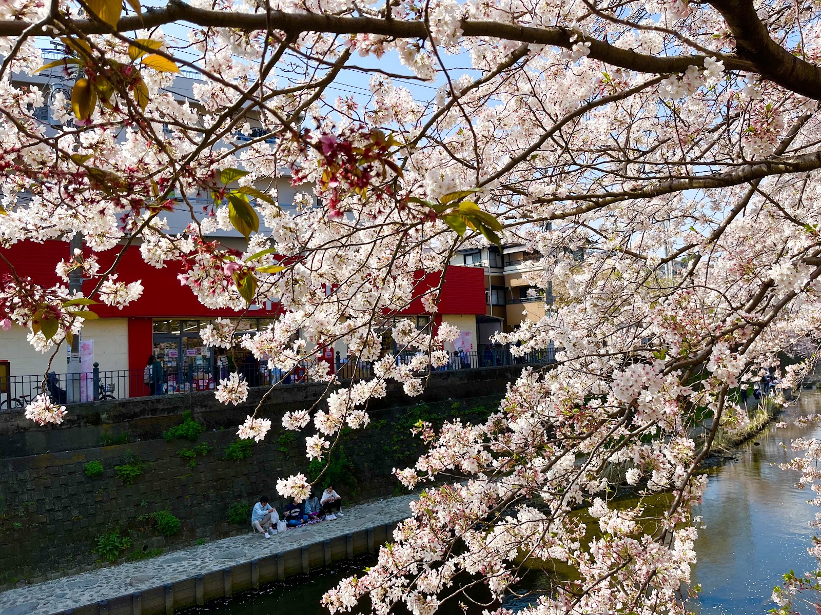 大岡川プロムナード