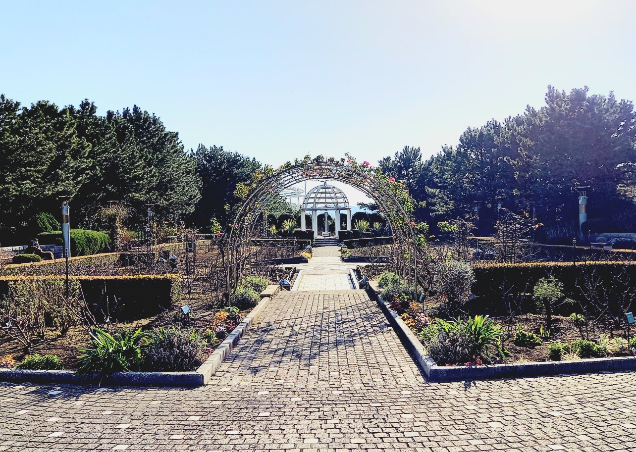 丘の広場バラ園2