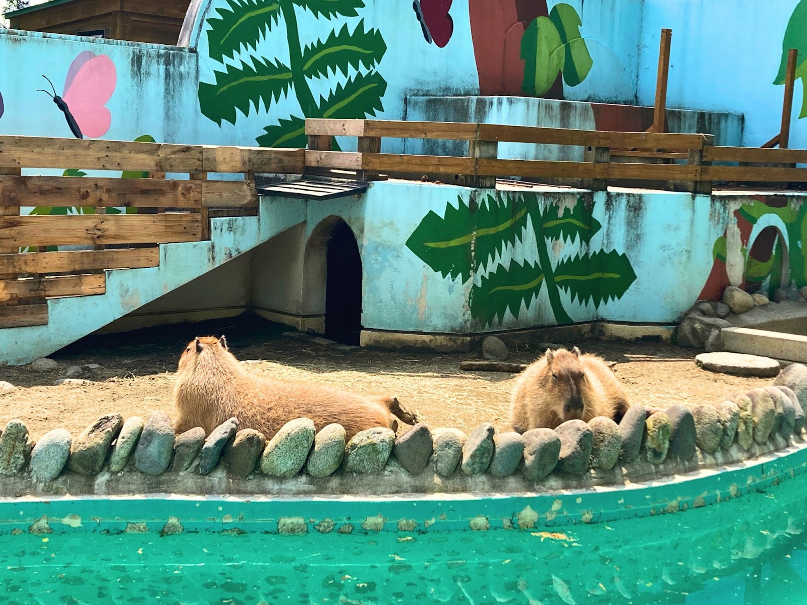 万力公園ふれあい広場