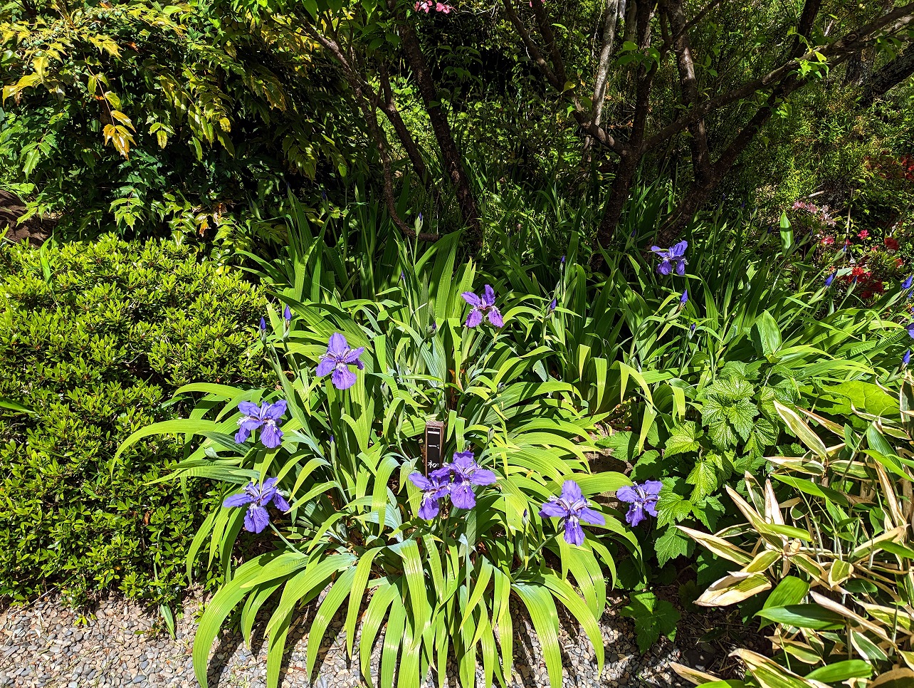 葉山日本庭園