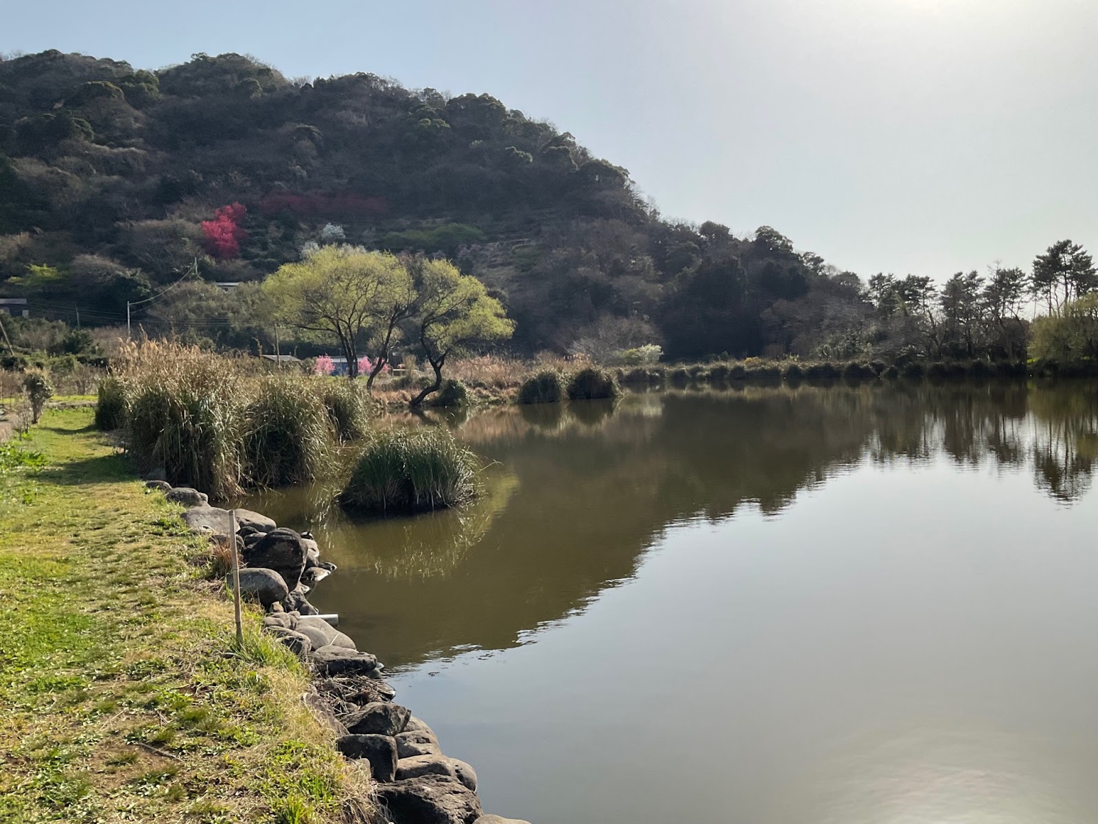 明神池周辺
