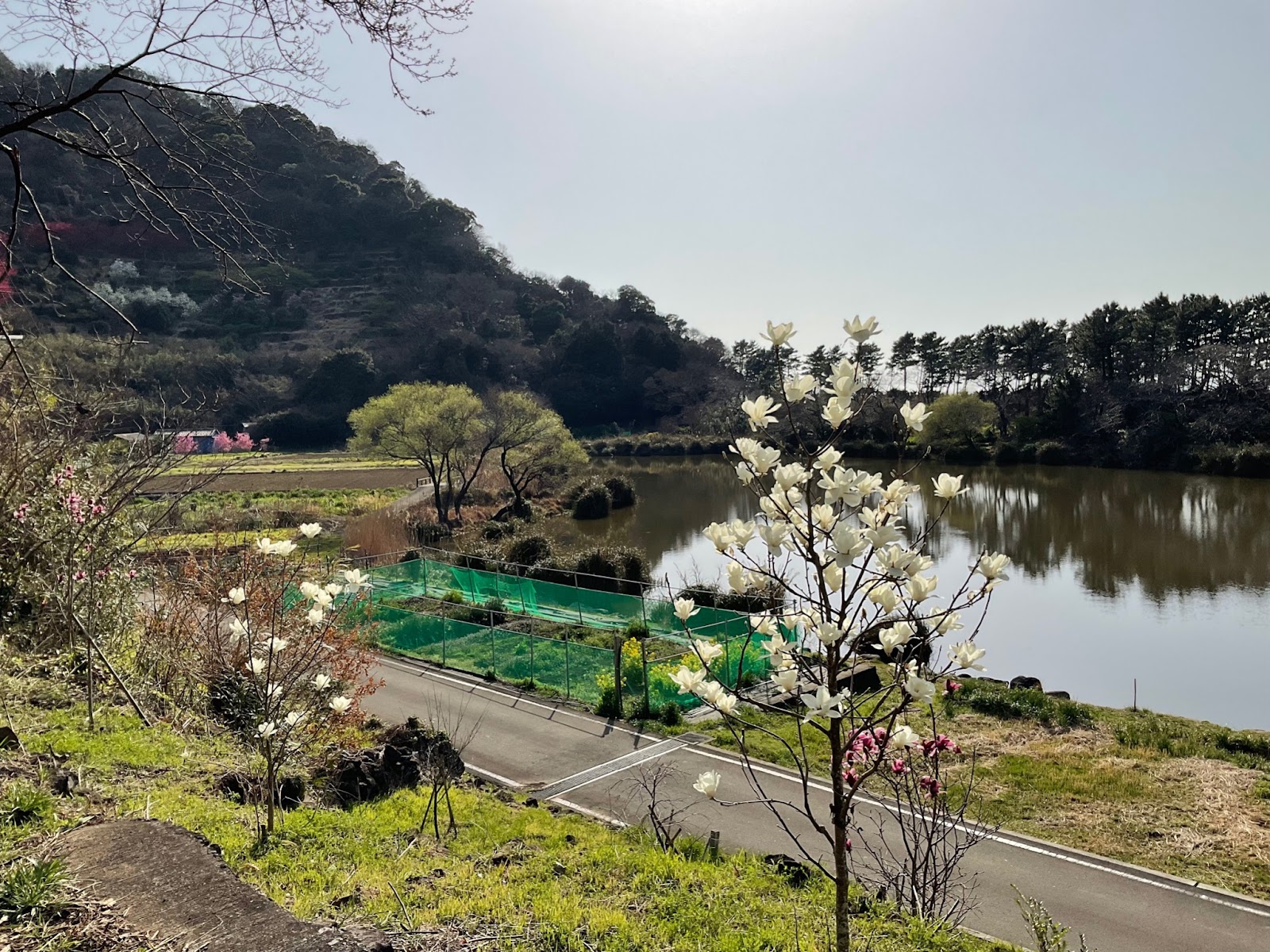 明神池