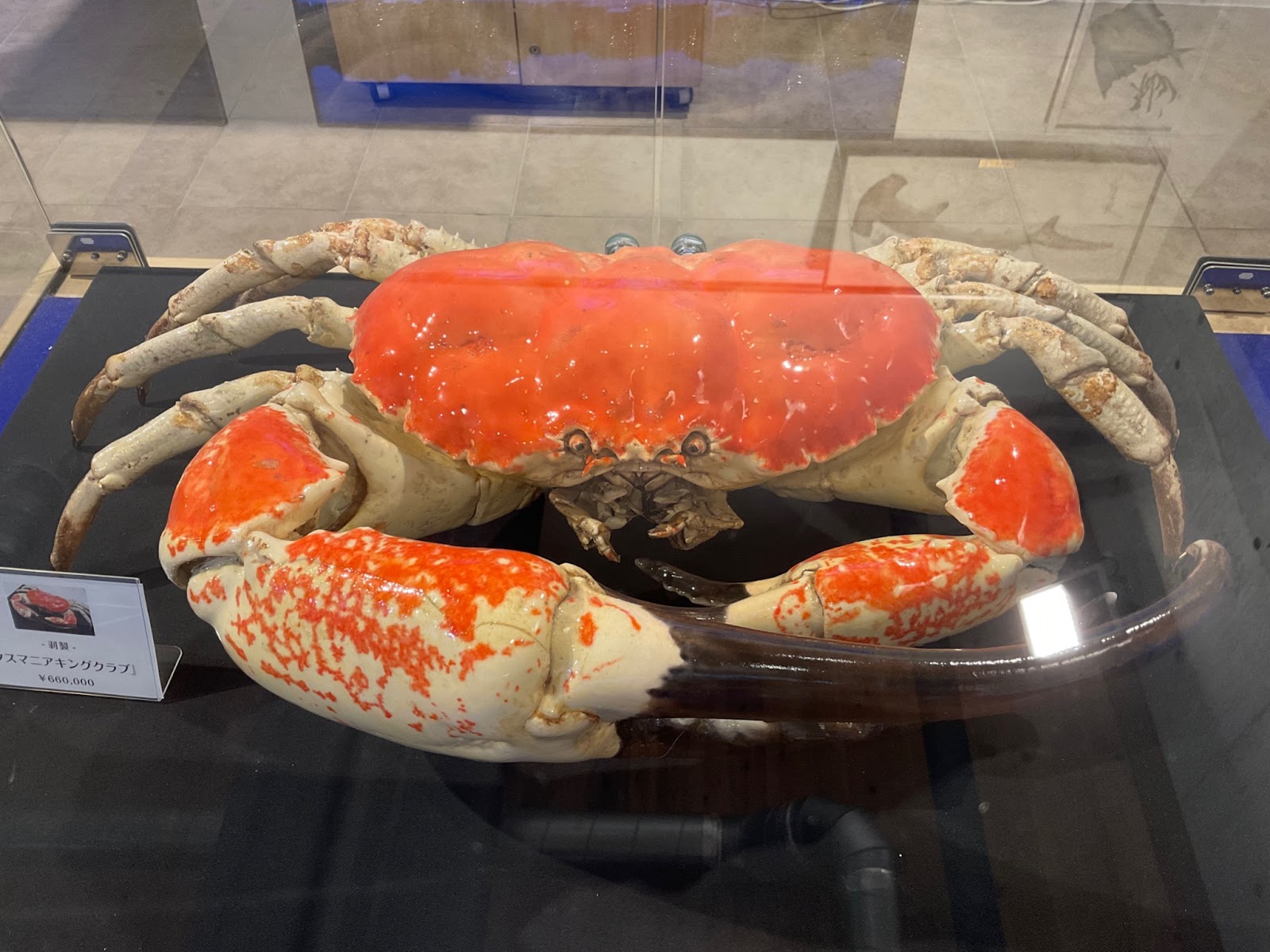 くるら戸田5