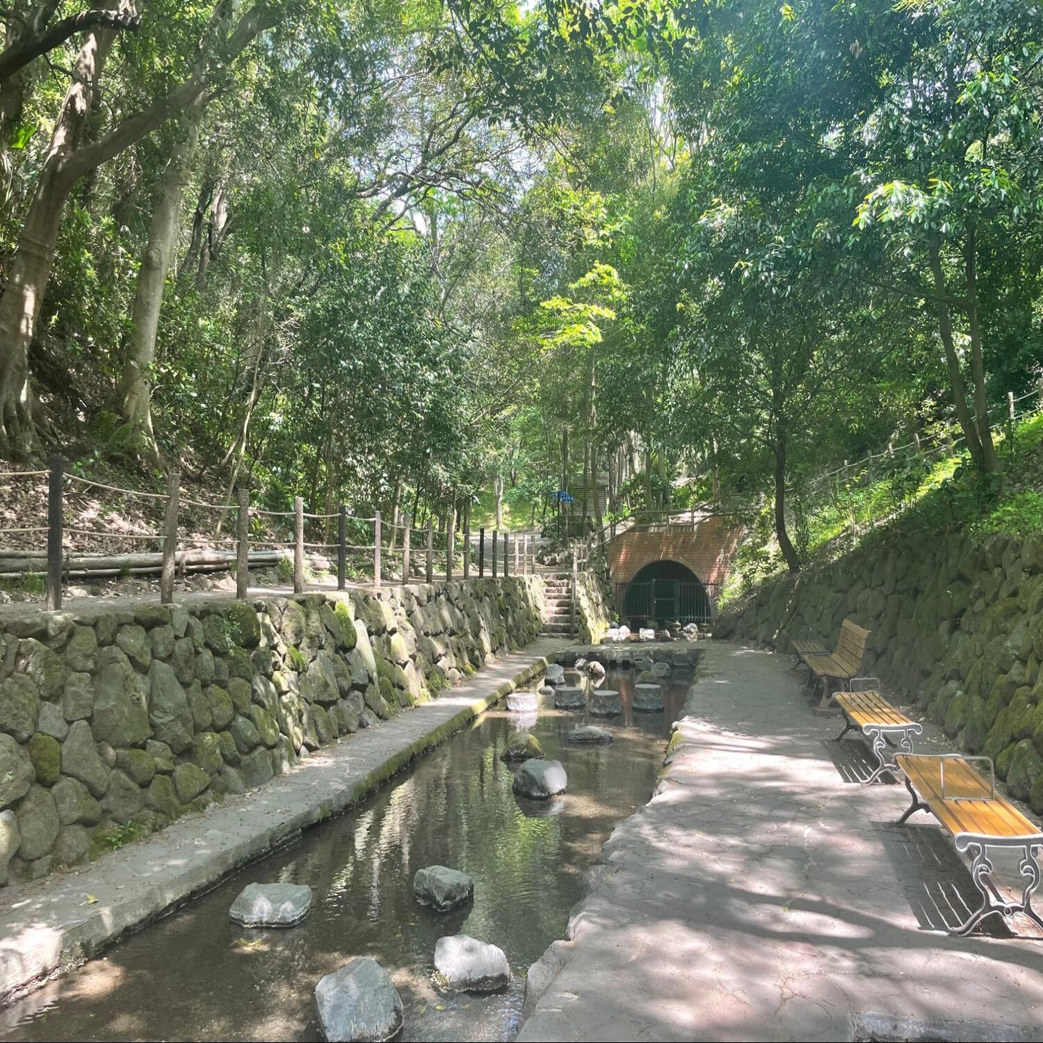 柿田川公園