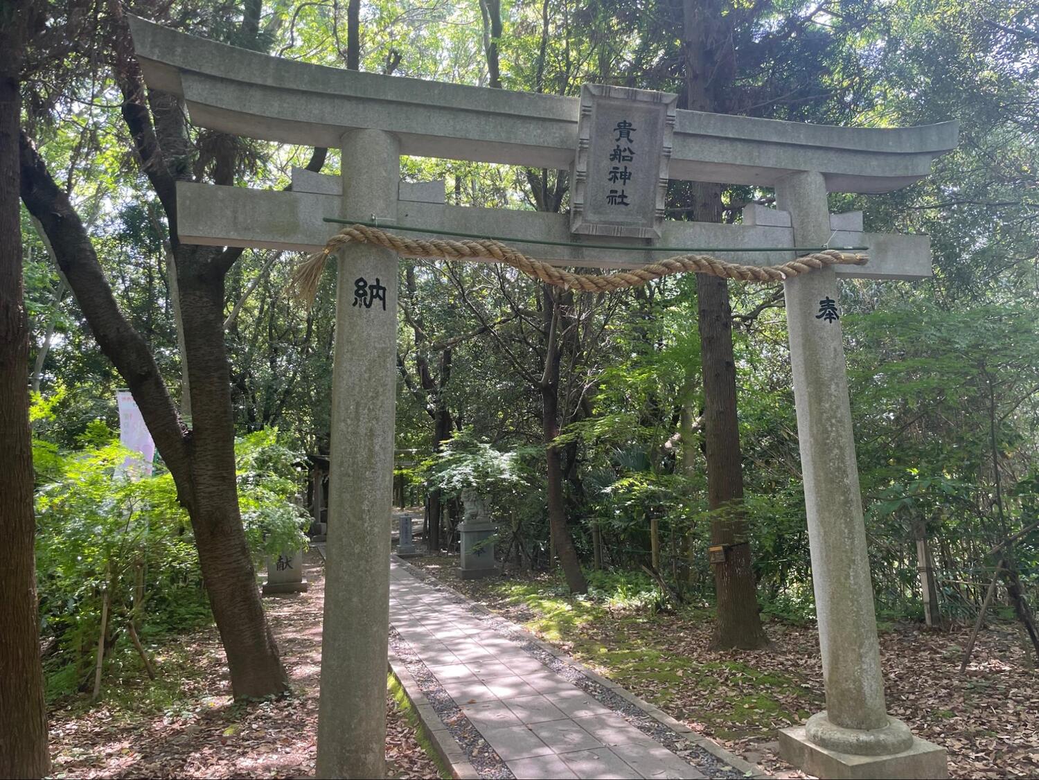 柿田川公園5