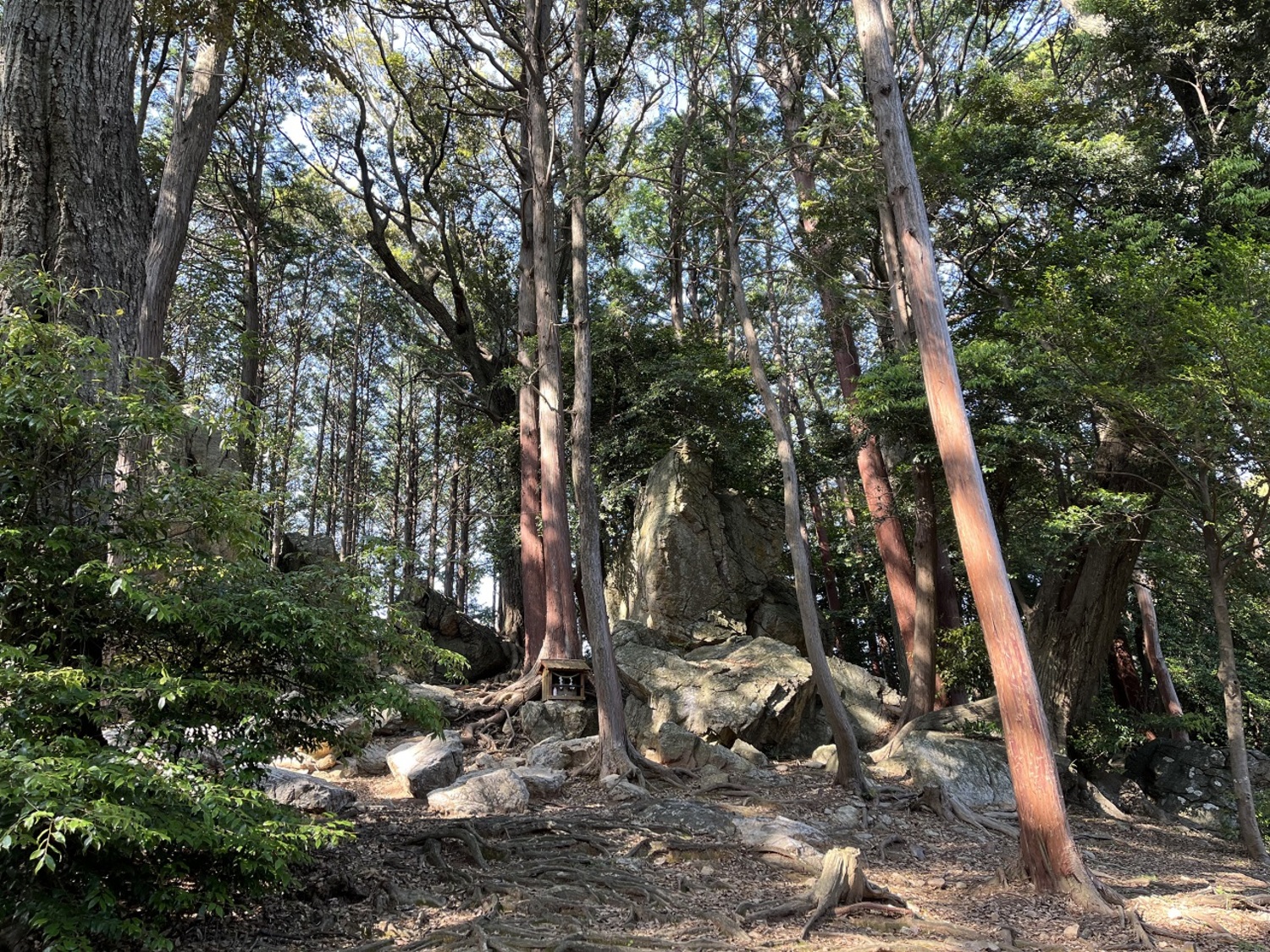 天白磐座遺跡 (4)