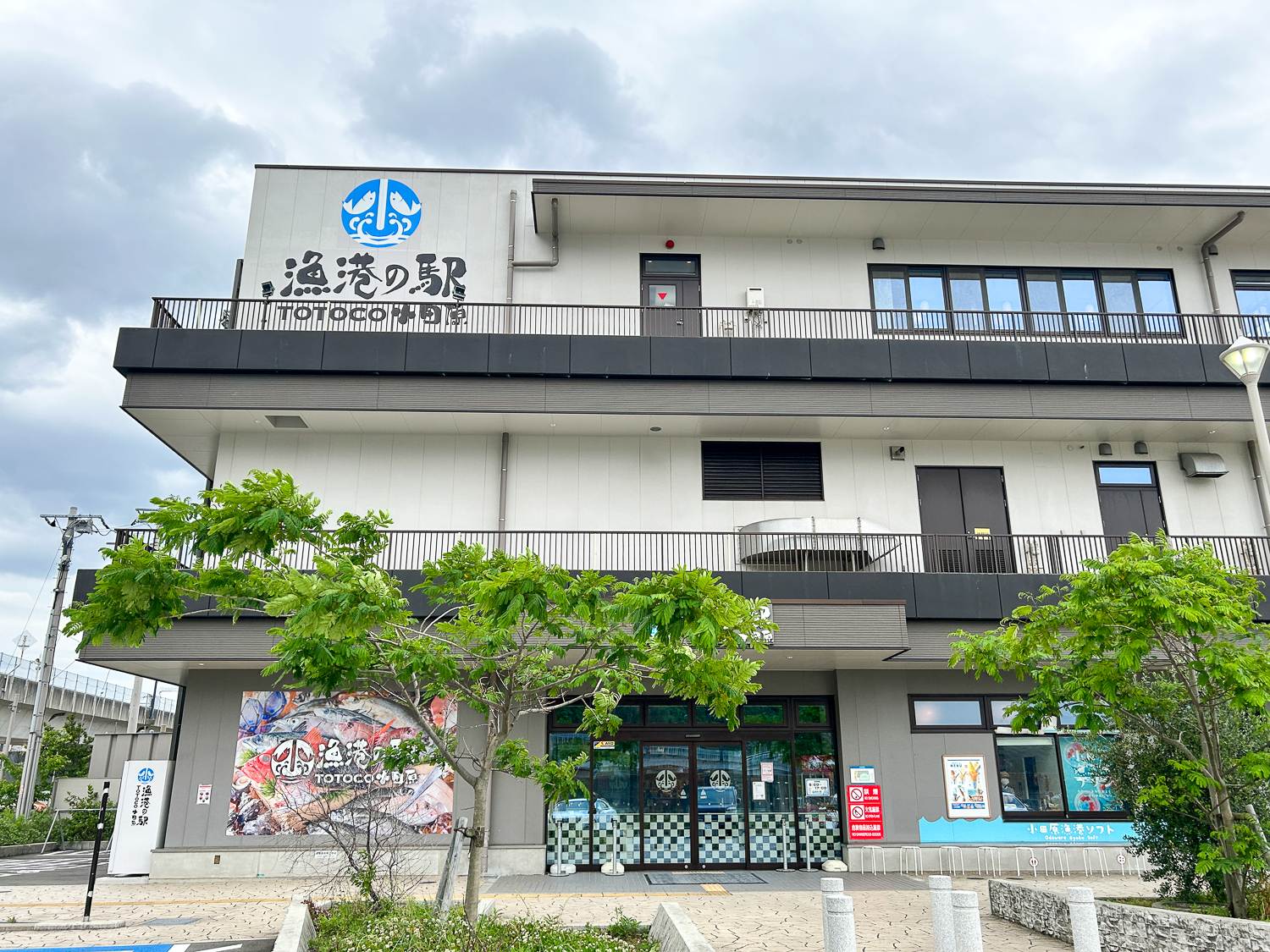 早川漁港3