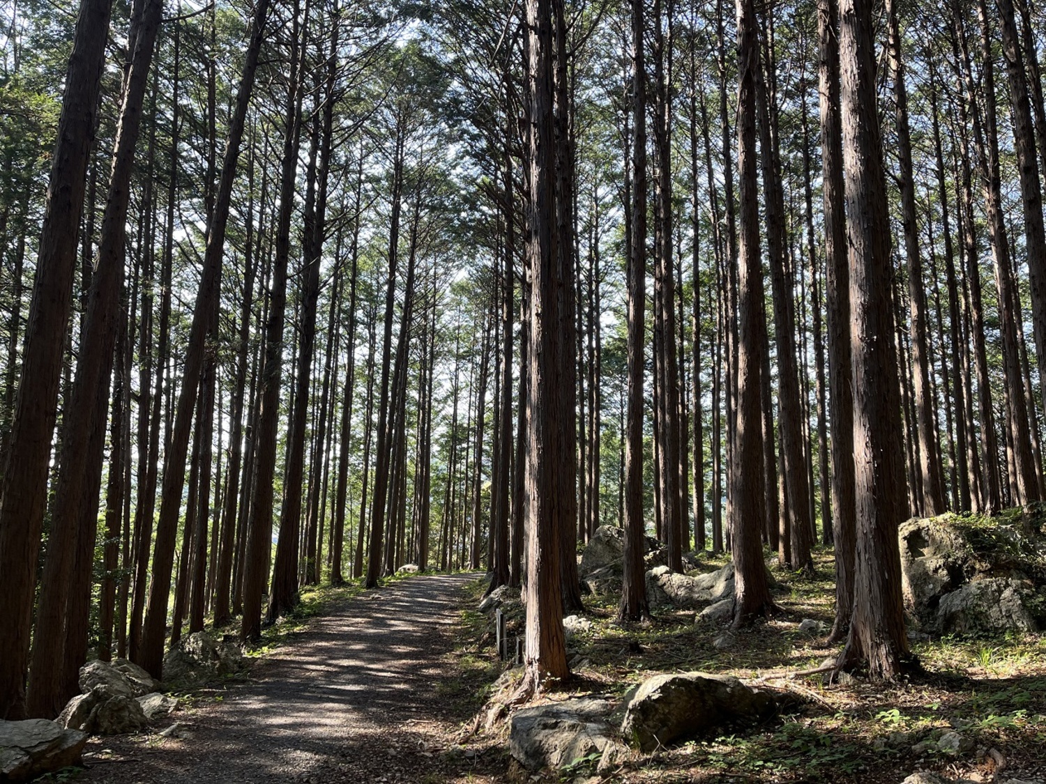 天白磐座遺跡 (6)