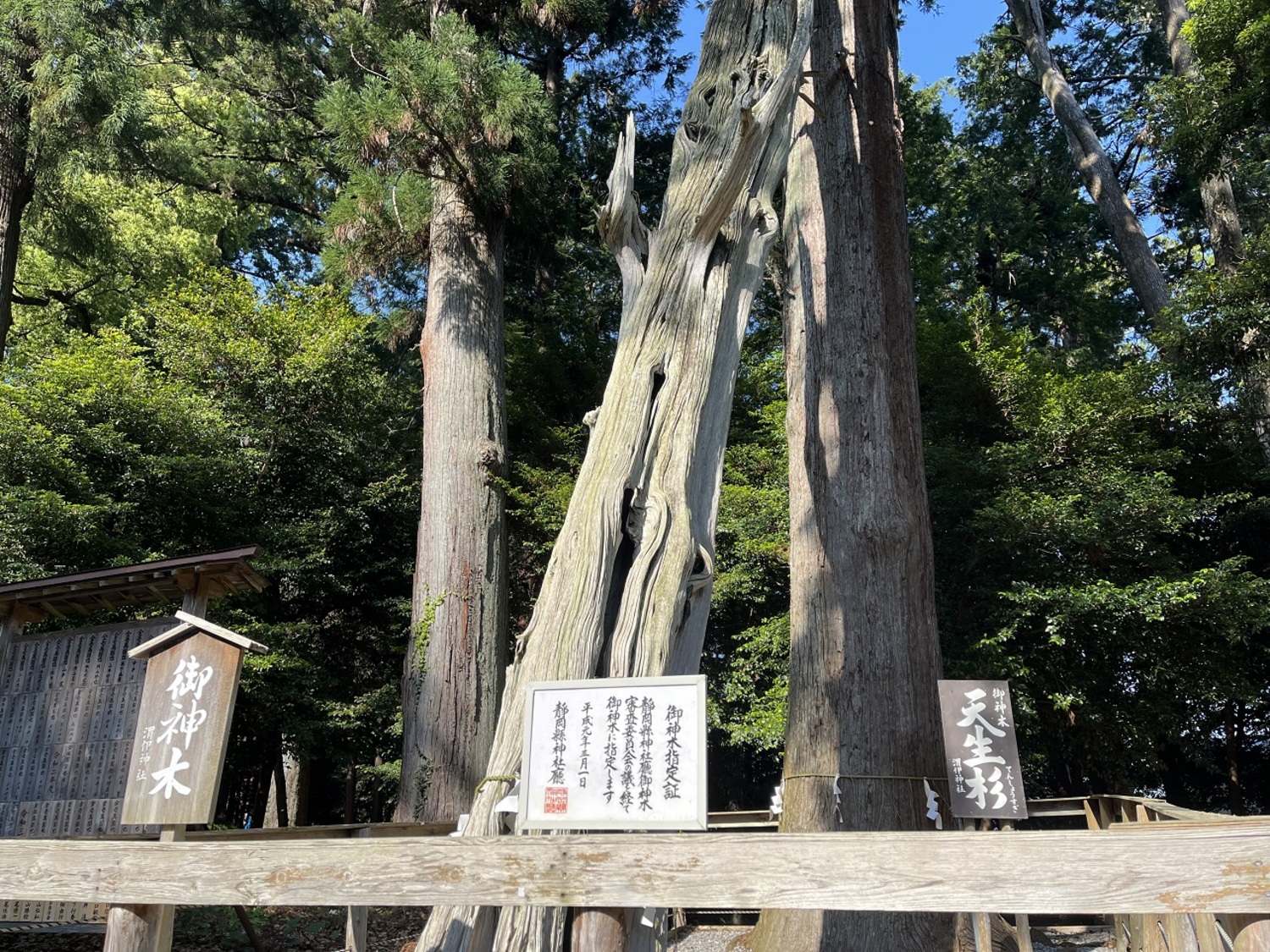 天白磐座遺跡 (3)