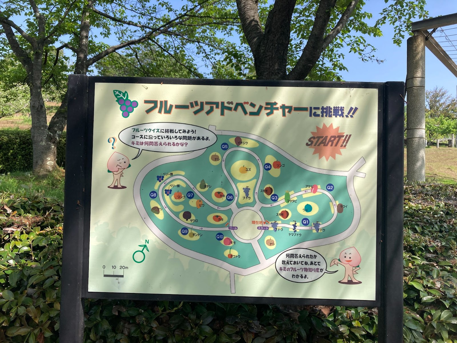 フルーツアドベンチャー