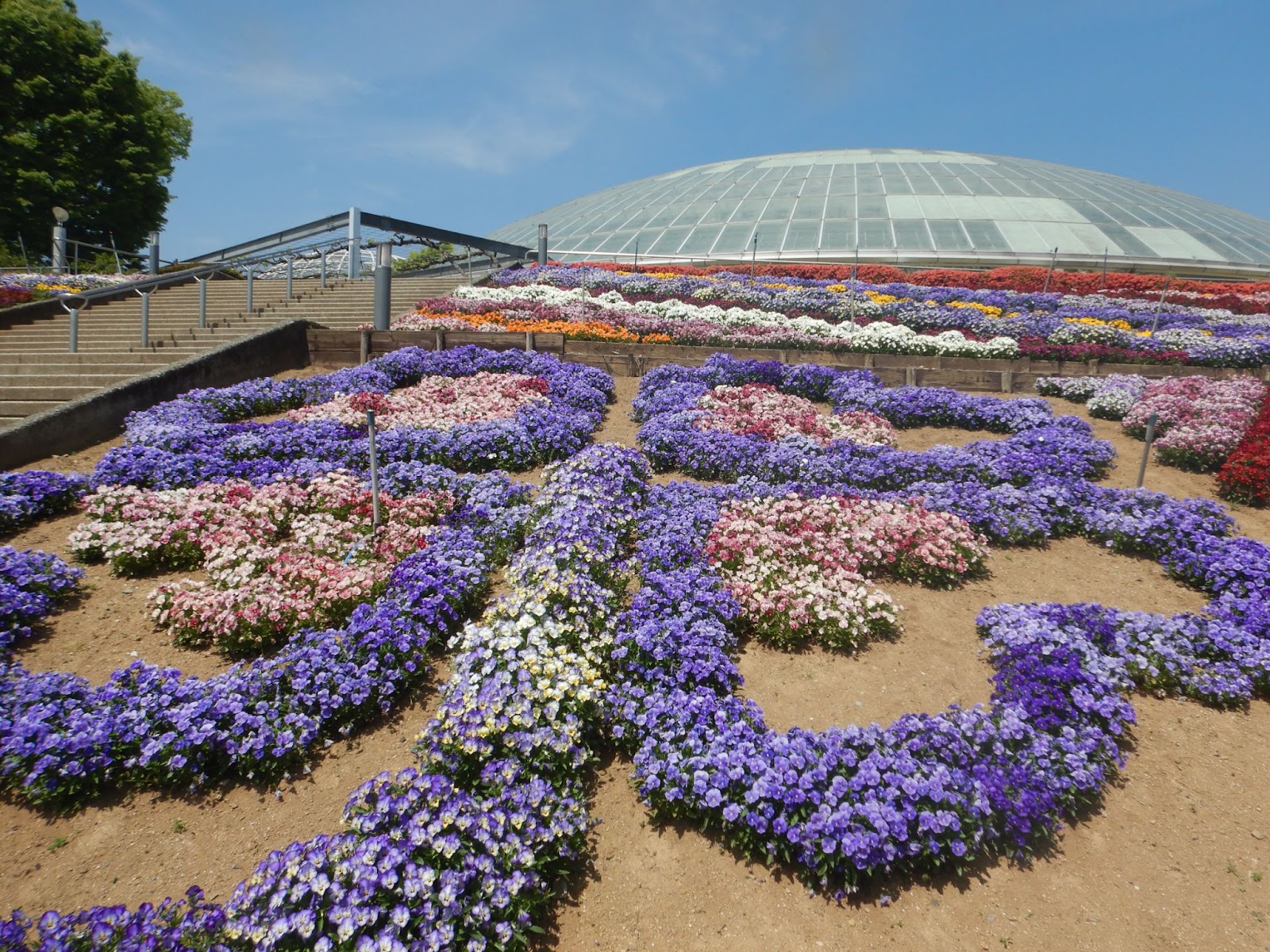 笛吹川フルーツ公園の花壇