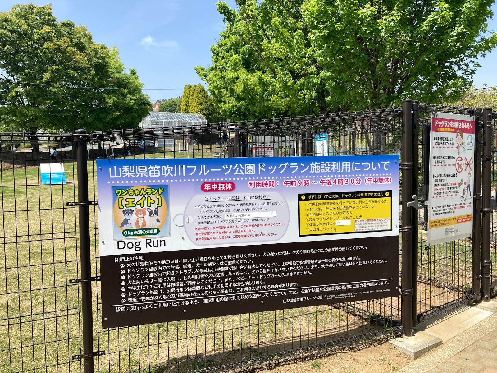 笛吹川フルーツ公園のドッグラン
