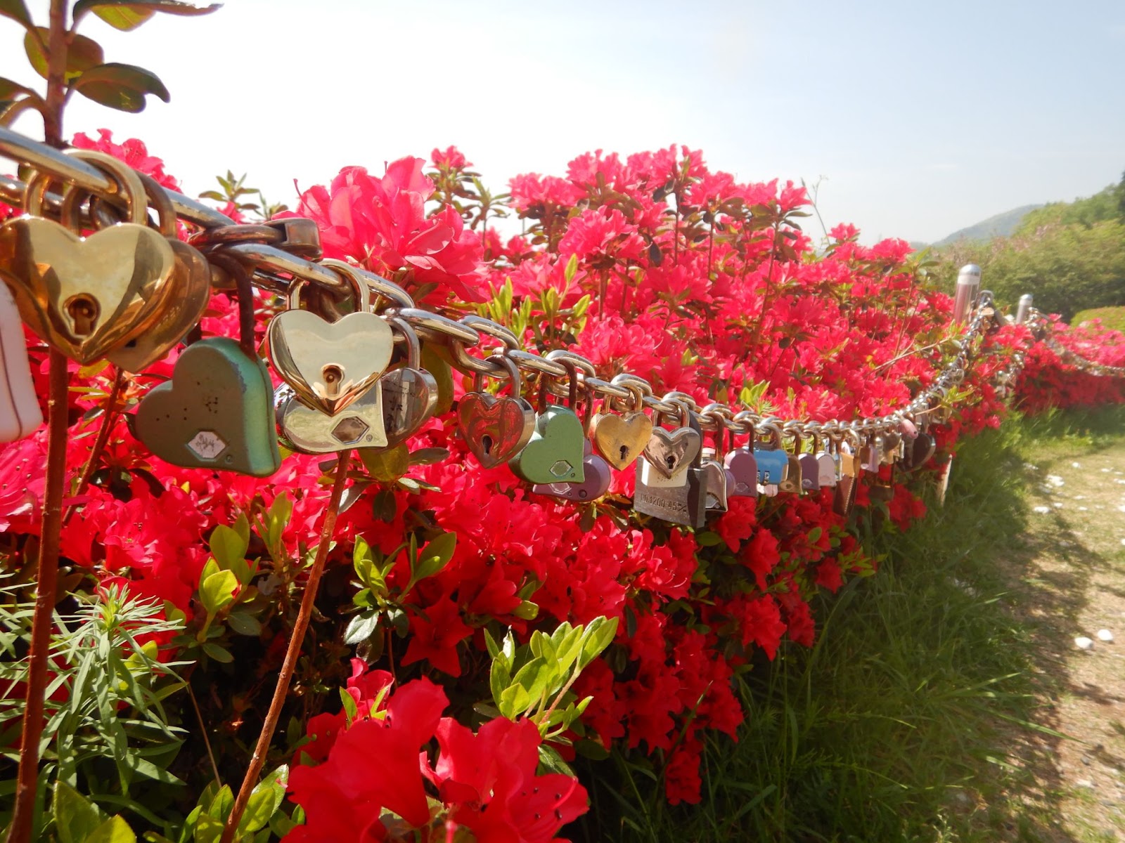 笛吹川フルーツ公園定番デートスポット