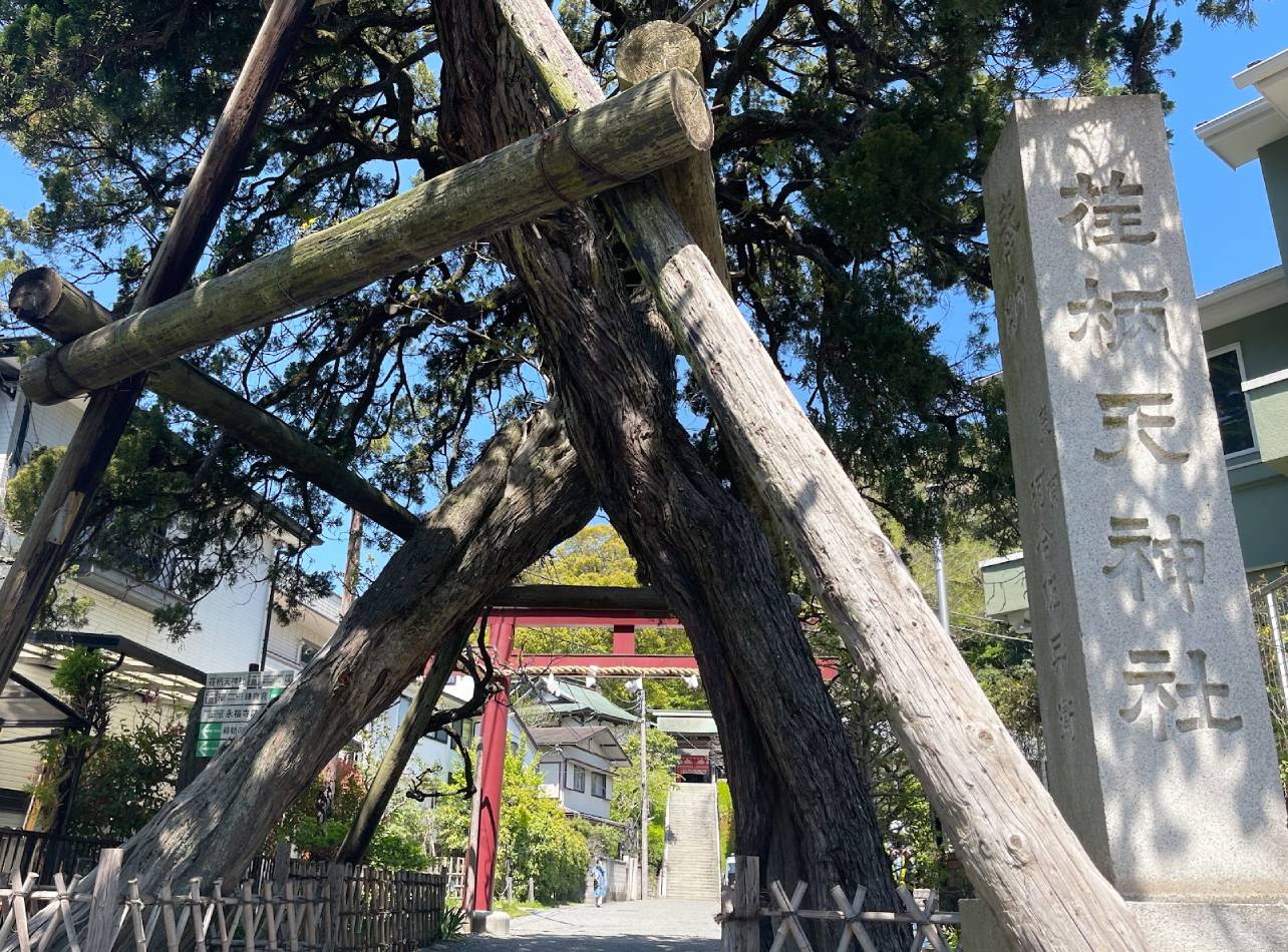 鎌倉合格祈願