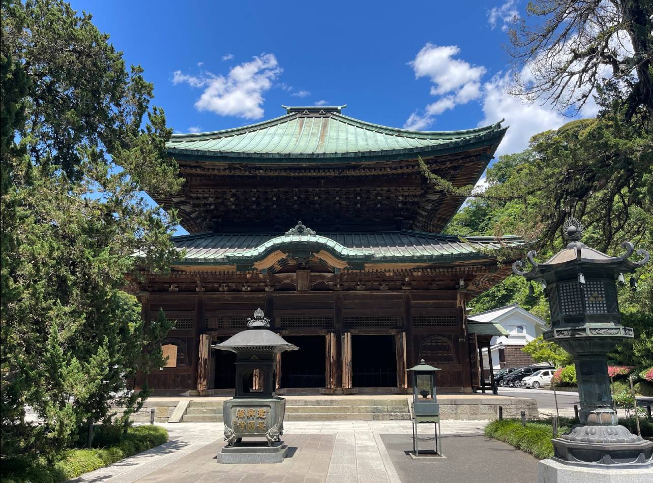 建長寺ビャクシン