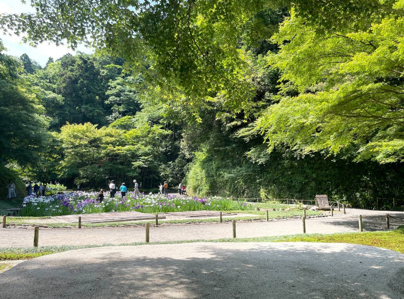 明月院本堂後庭園