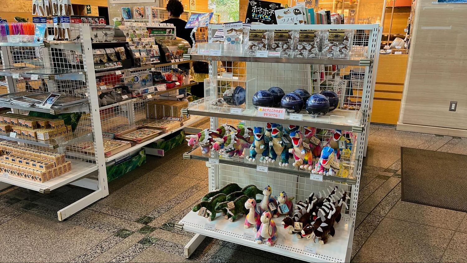 神奈川県博物館 (6)