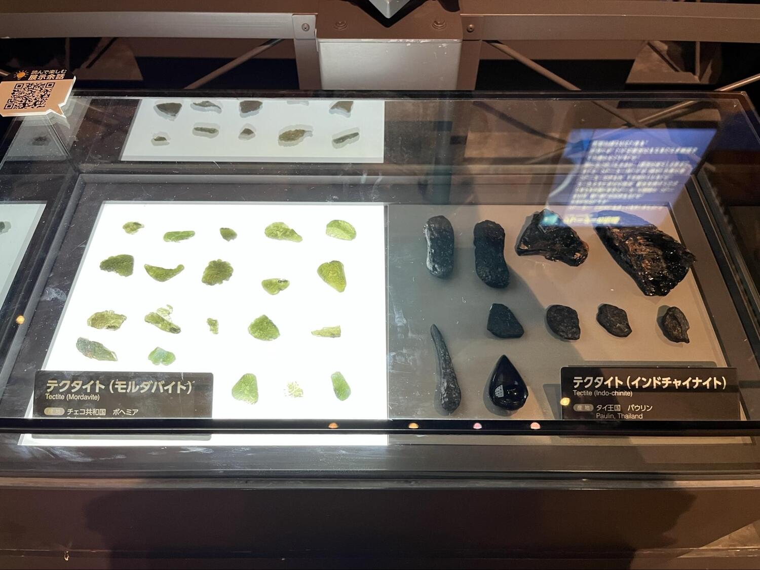 神奈川県立博物館 (4)