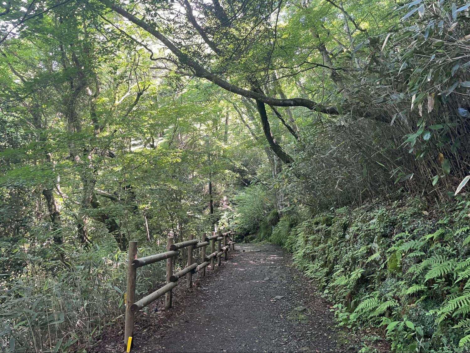 千条の滝 (6)