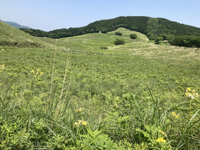 細野高原_高原散策