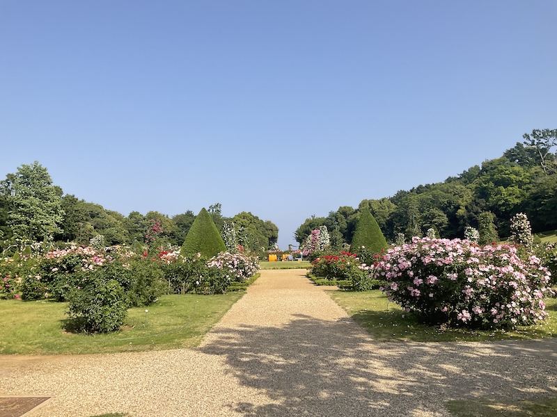 バガテル公園_幾何学の庭