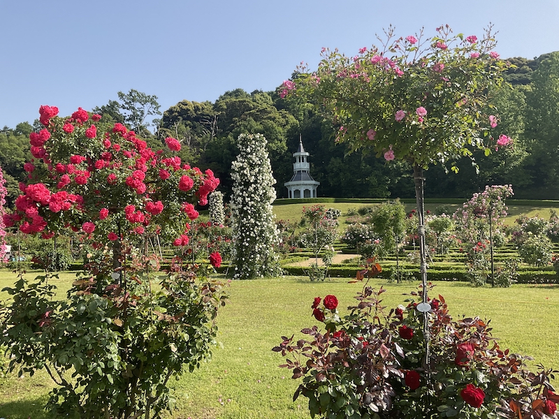 バガテル公園_ベルばら