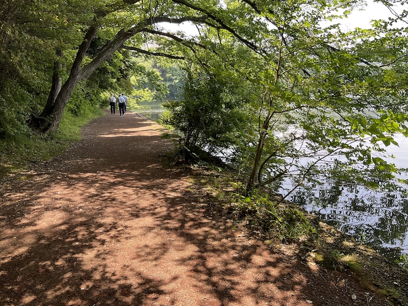 一碧湖_湖畔散策路