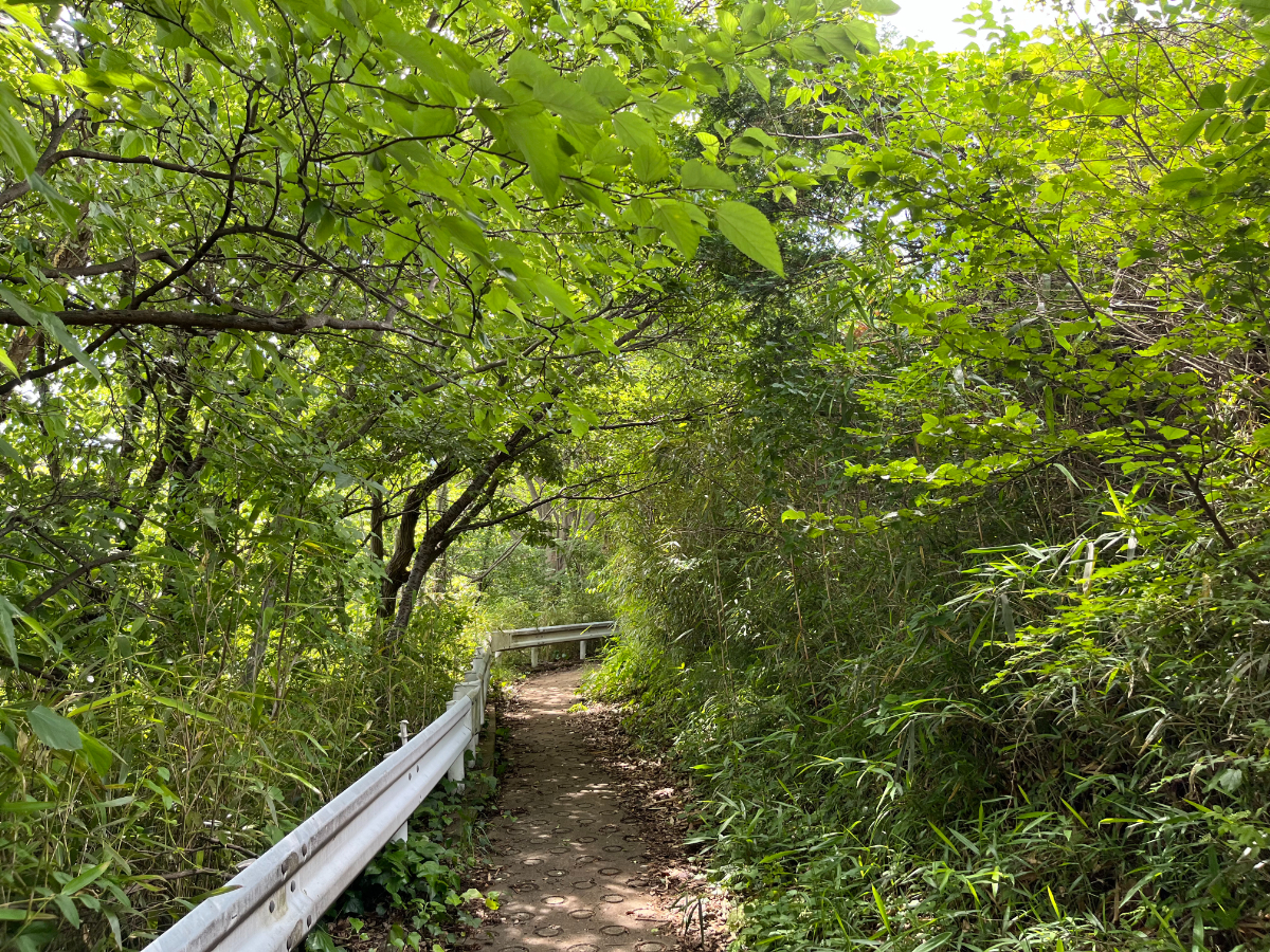 吾妻山山道1