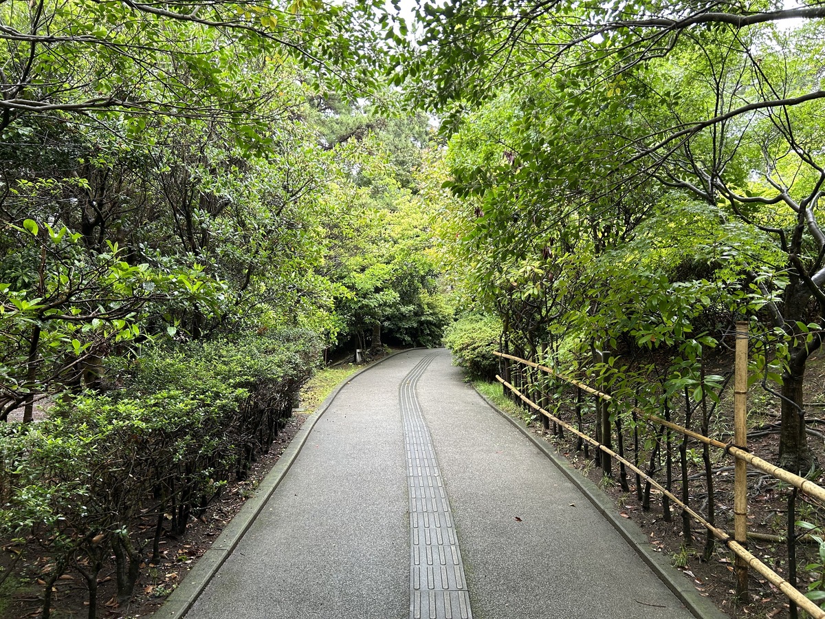 茅ヶ崎市美術館2