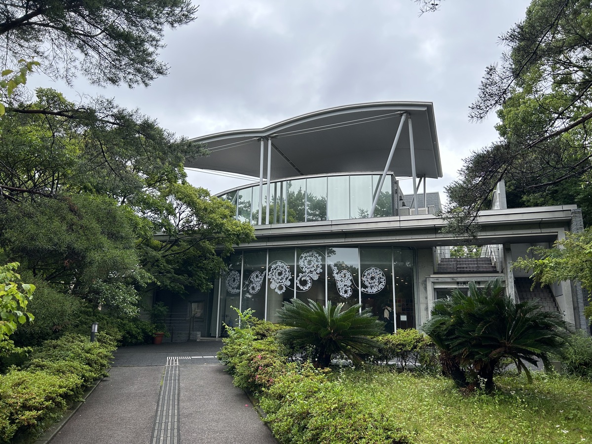 茅ヶ崎市美術館3