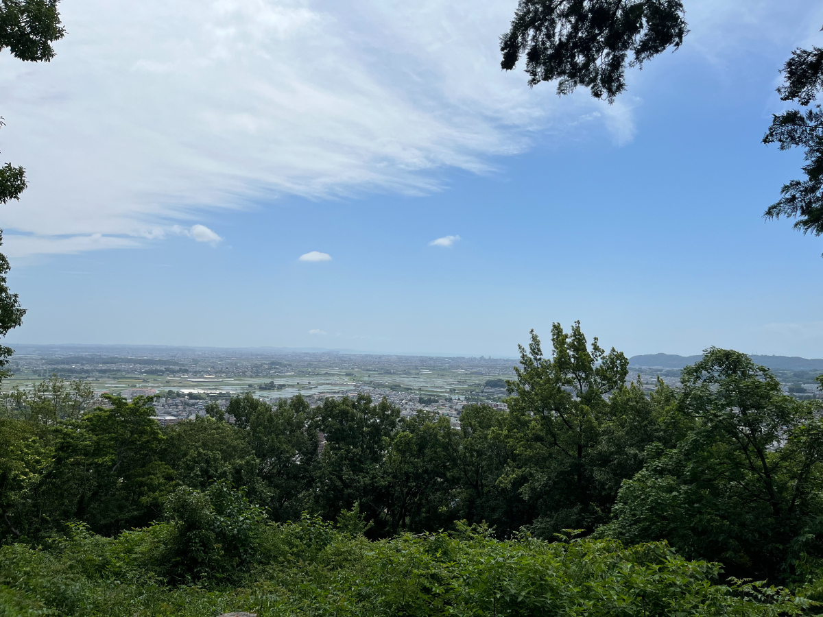 山頂からの景色