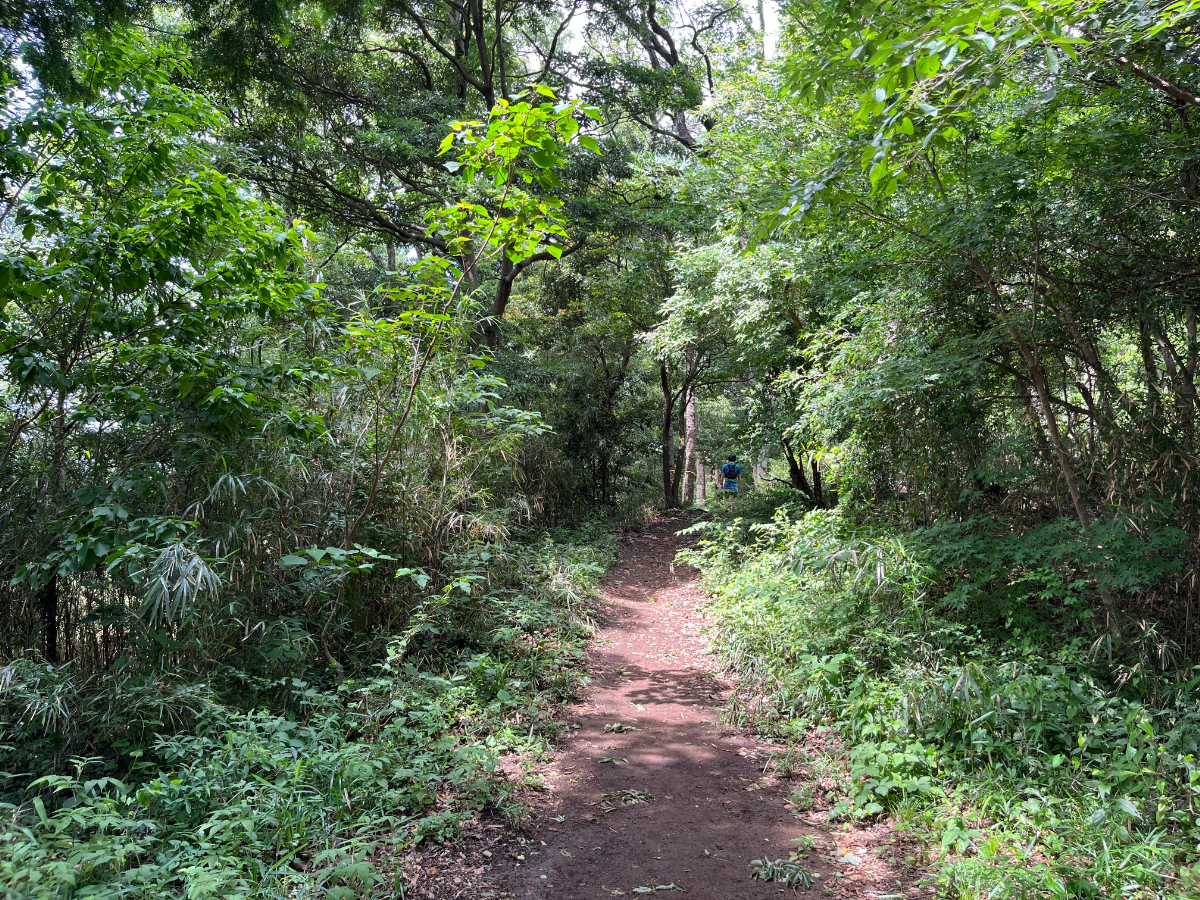 弘法山への山道