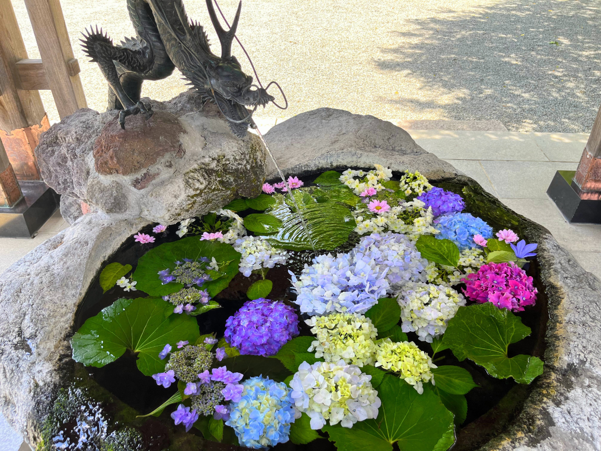 紫陽花の花手水