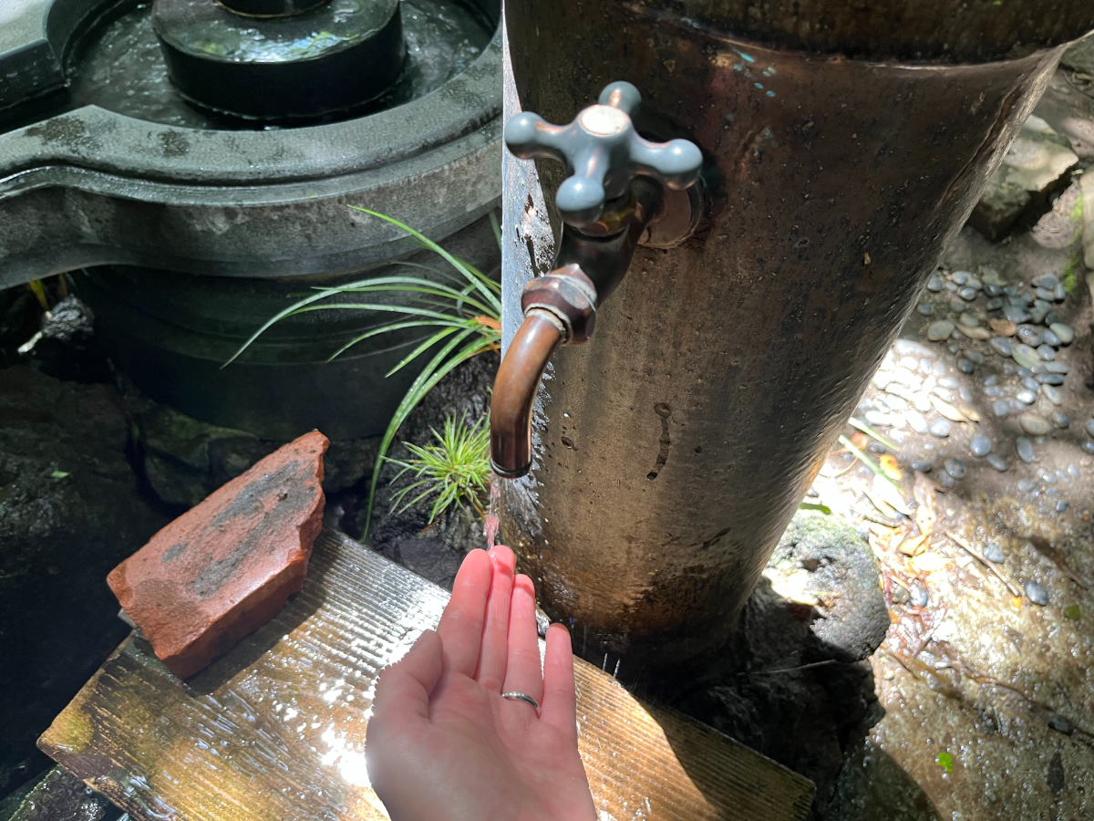 ゆずりの水