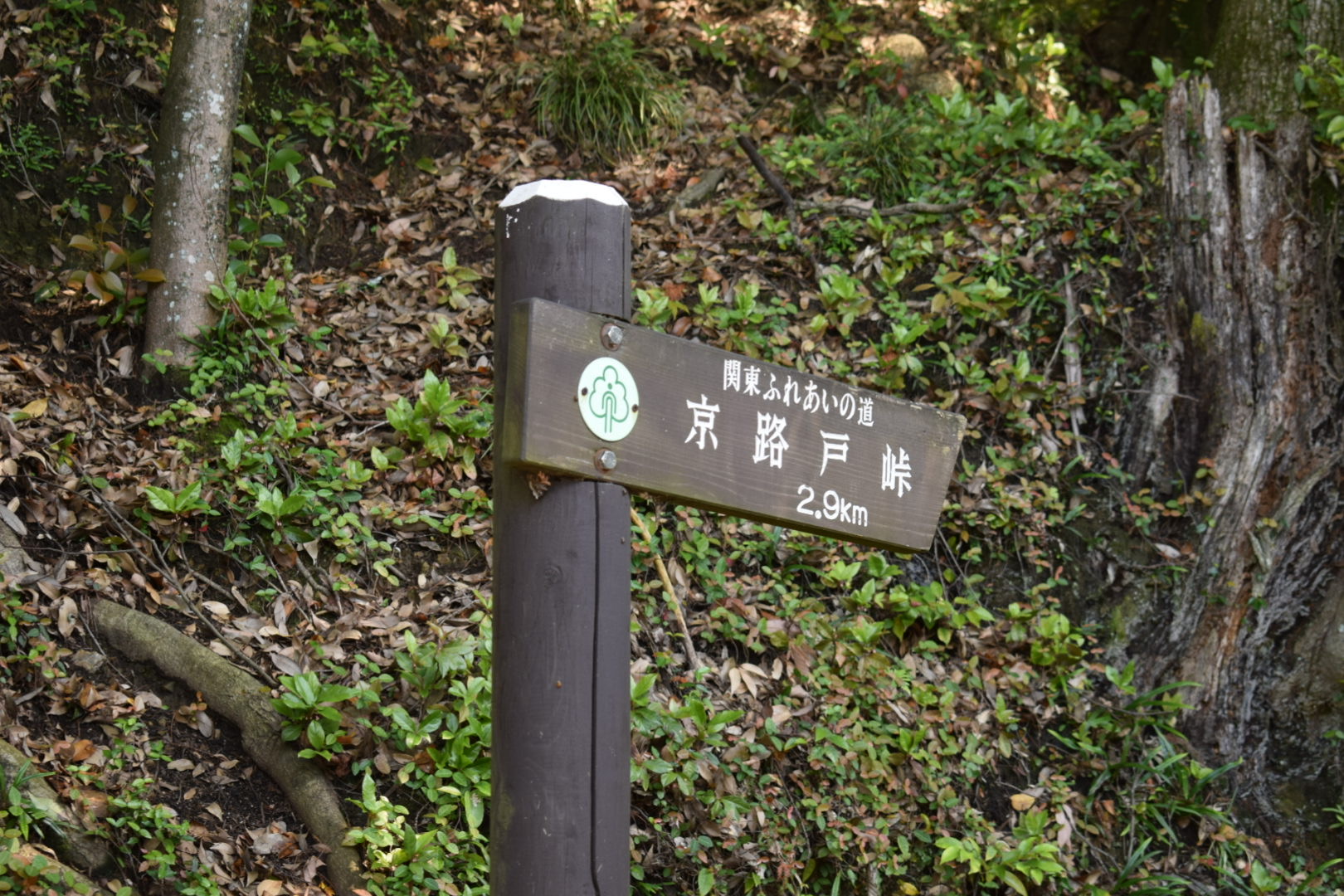 唐澤山神社_ハイキングコース_京路戸峠