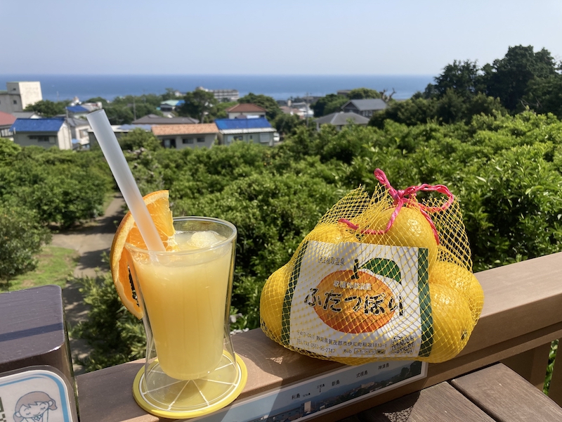 細野高原_ニューサマーオレンジ