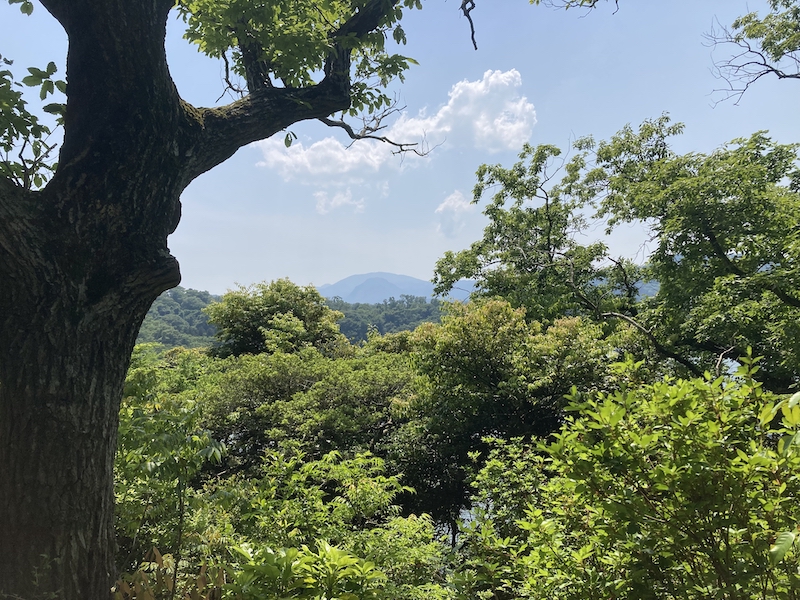 一碧湖_大室山を望む