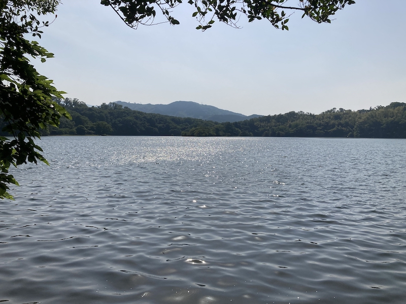 一碧湖_湖の眺め