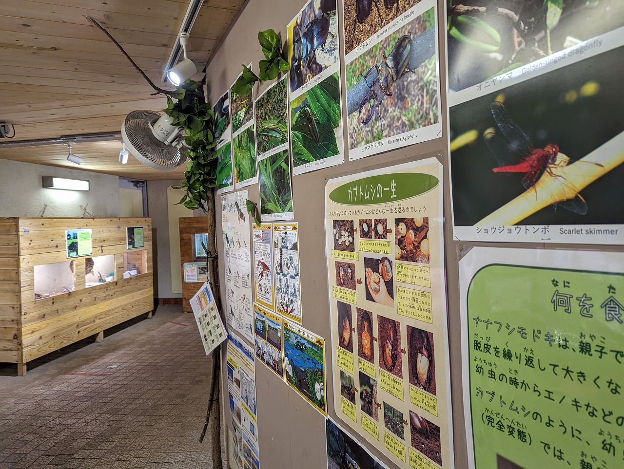 身近な生き物館
