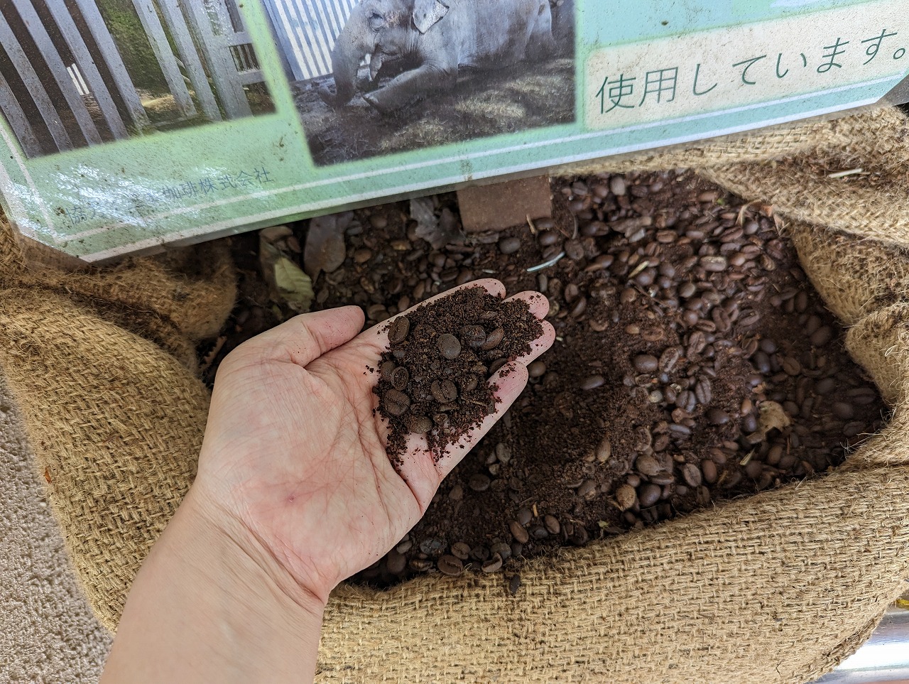 コーヒーの再利用
