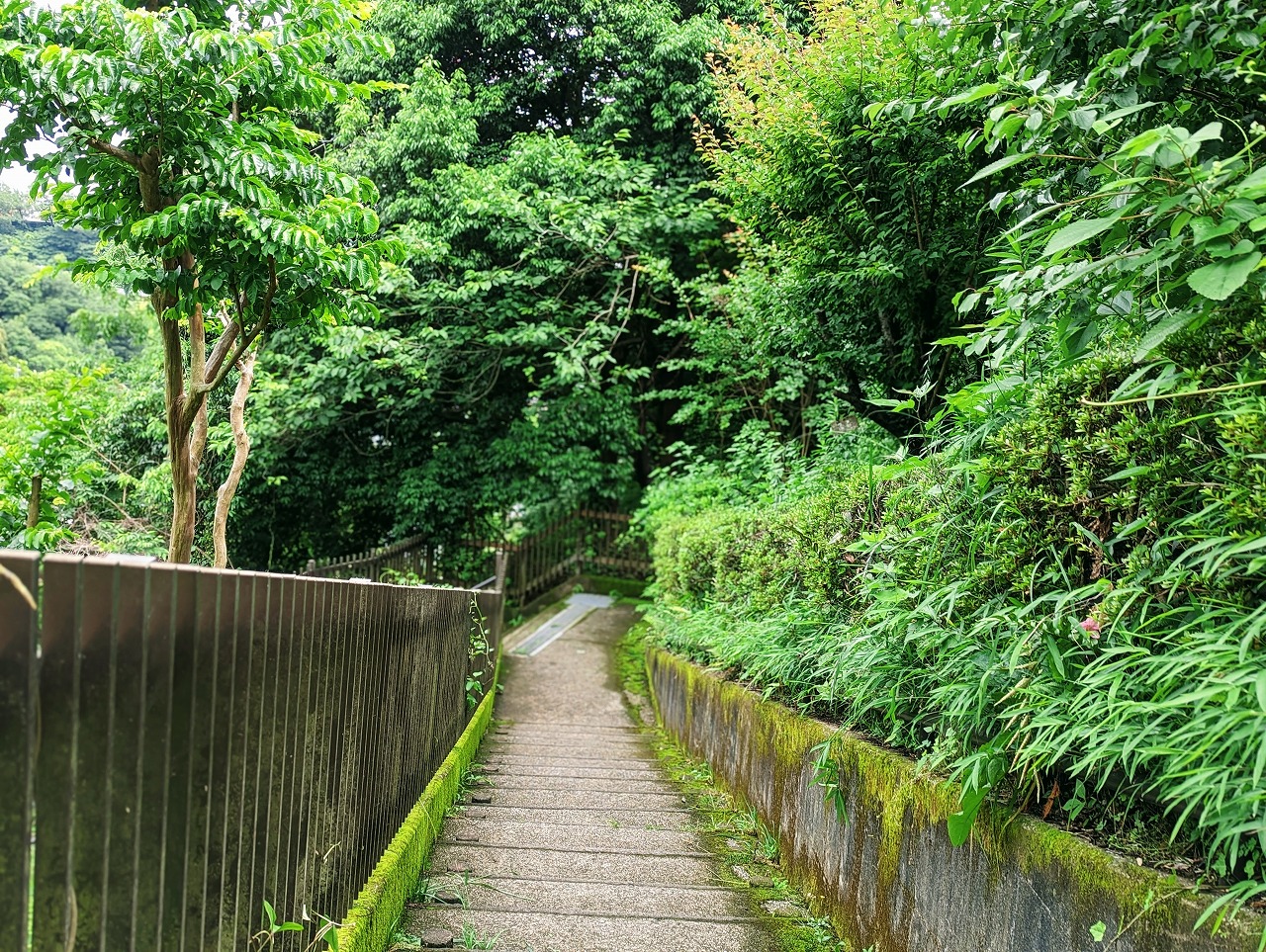金沢自然公園の坂道