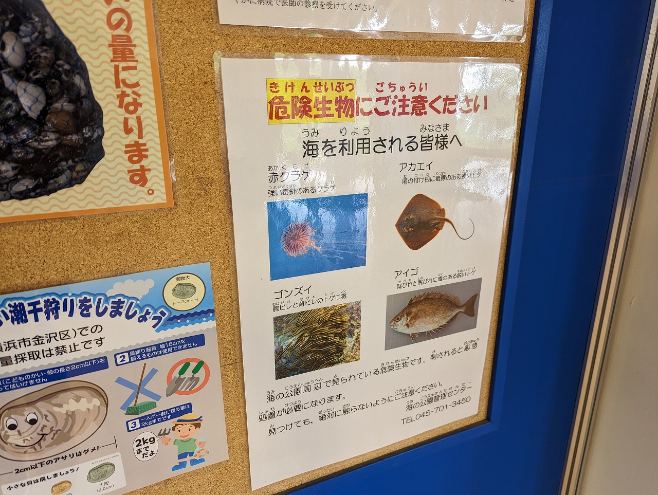 海とのふれあいセンター　掲示板