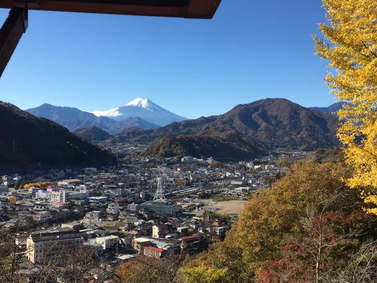 ふれあいの館からの富士山2